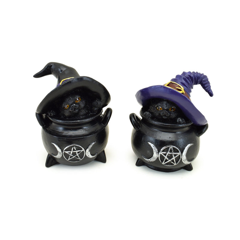 Witches Magical Black Cat in Oversized Hat and Cauldron CAT209
