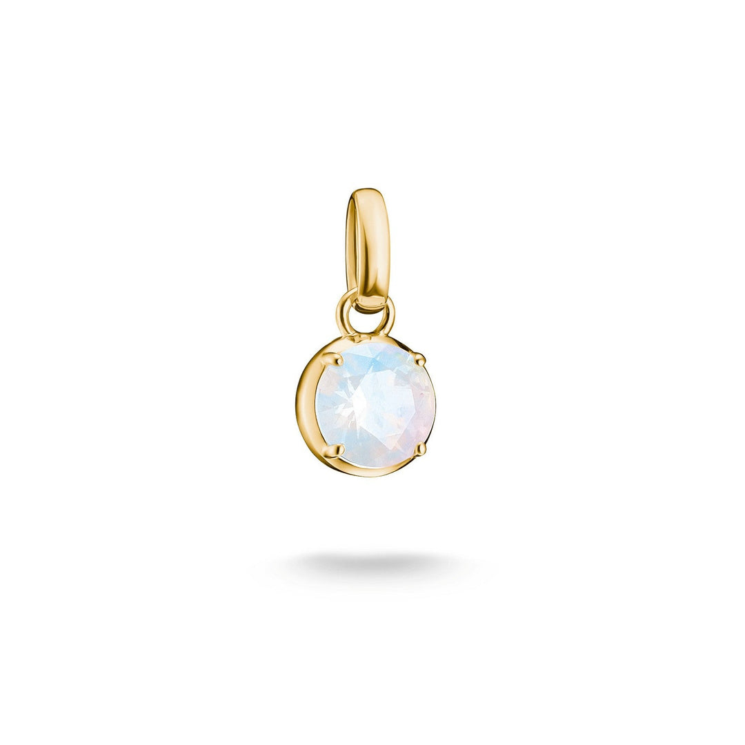 Thomas Sabo 18k Gold Plated Charm CC1334-M01-14