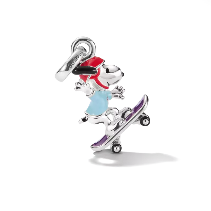 Silver charm of a dog on a skateboard with colorful accents on a white background