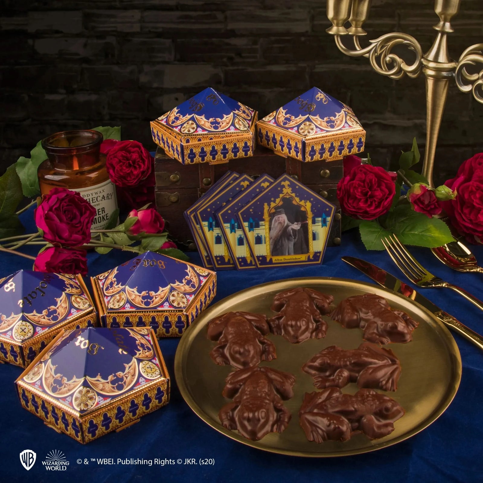 Harry Potter Chocolate Frog Mould + 12 Wizard Cards + 6 Diy Boxes CR4018