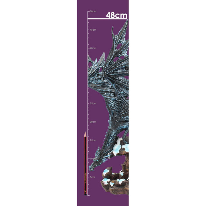 Nemesis Now Dragons Wisdom Black Ice 47cm D0292B4
