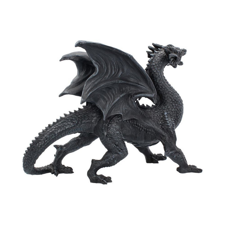 Nemesis Now Obsidian Dragon Watcher 31cm D1242D5