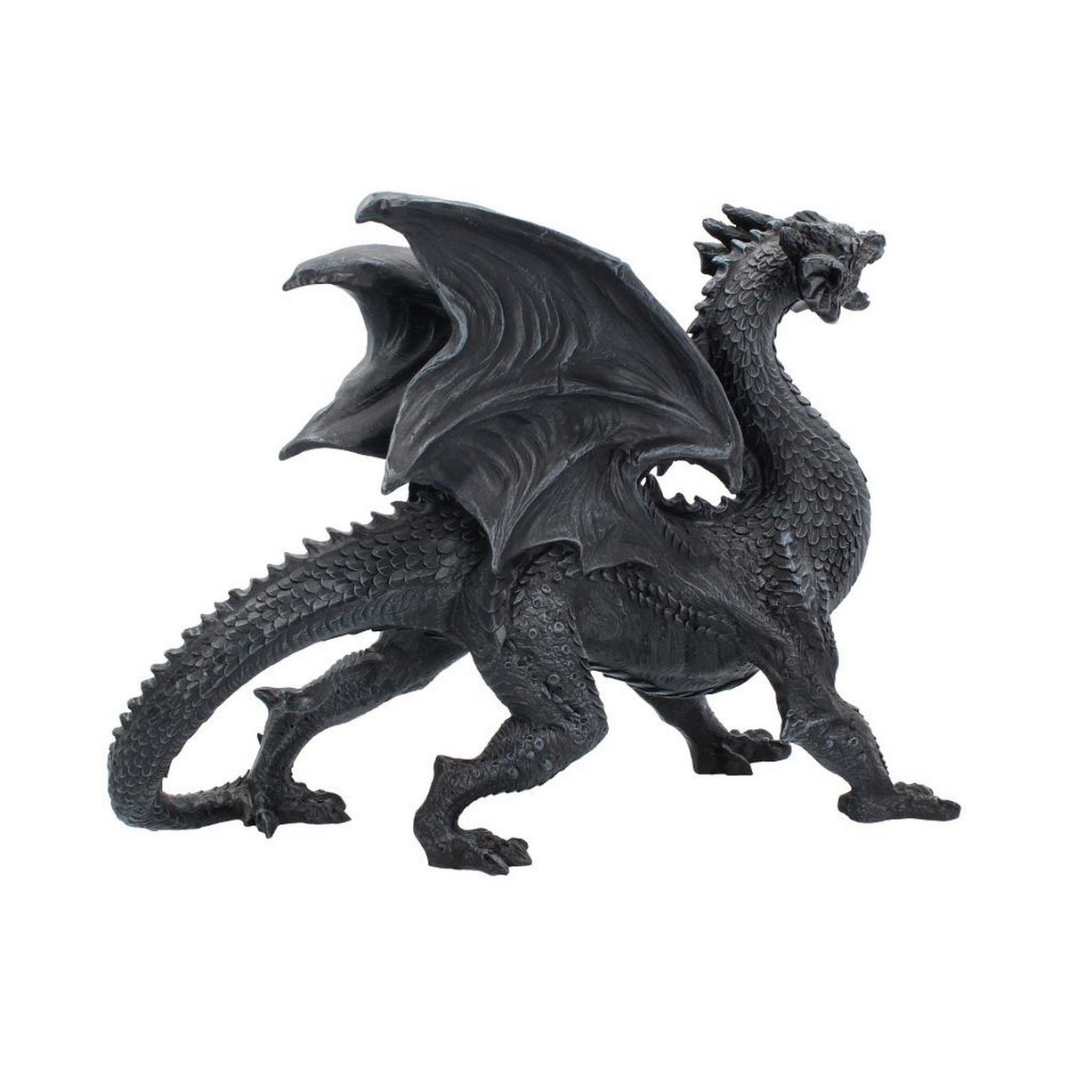 Nemesis Now Obsidian Dragon Watcher 31cm D1242D5