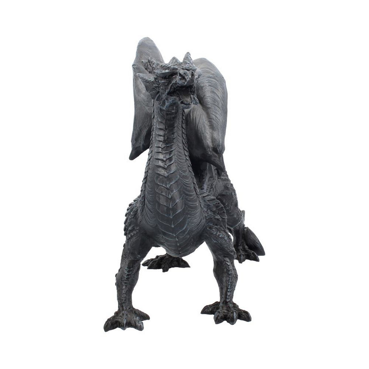 Nemesis Now Obsidian Dragon Watcher 31cm D1242D5