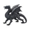 Nemesis Now Obsidian Dragon Watcher 31cm D1242D5