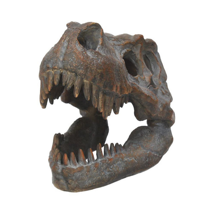 Freestanding Tyrannosaurus Rex Skull Figurine Ornament D1245D5