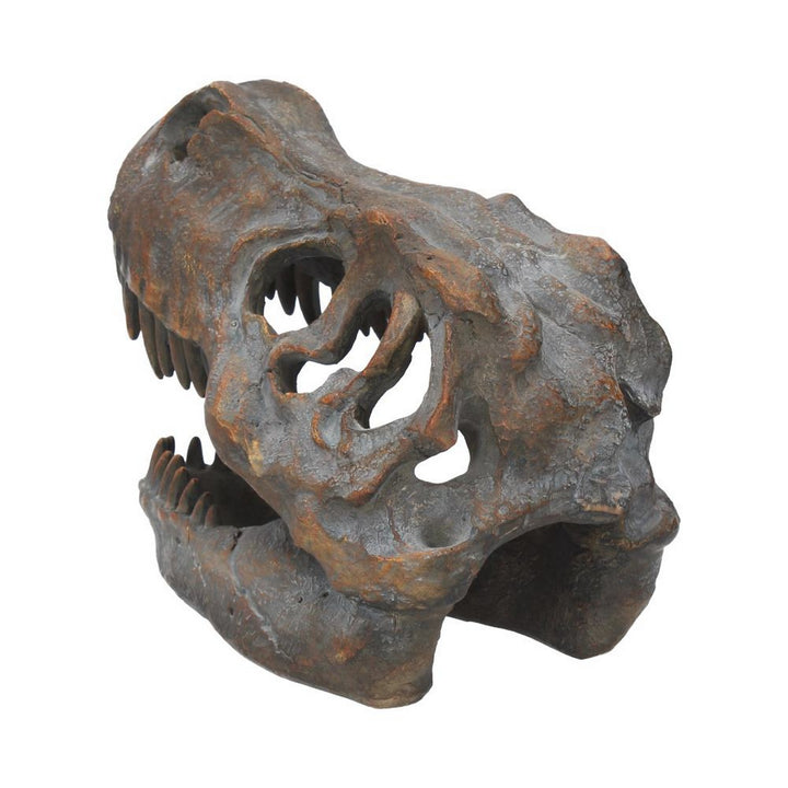 Freestanding Tyrannosaurus Rex Skull Figurine Ornament D1245D5