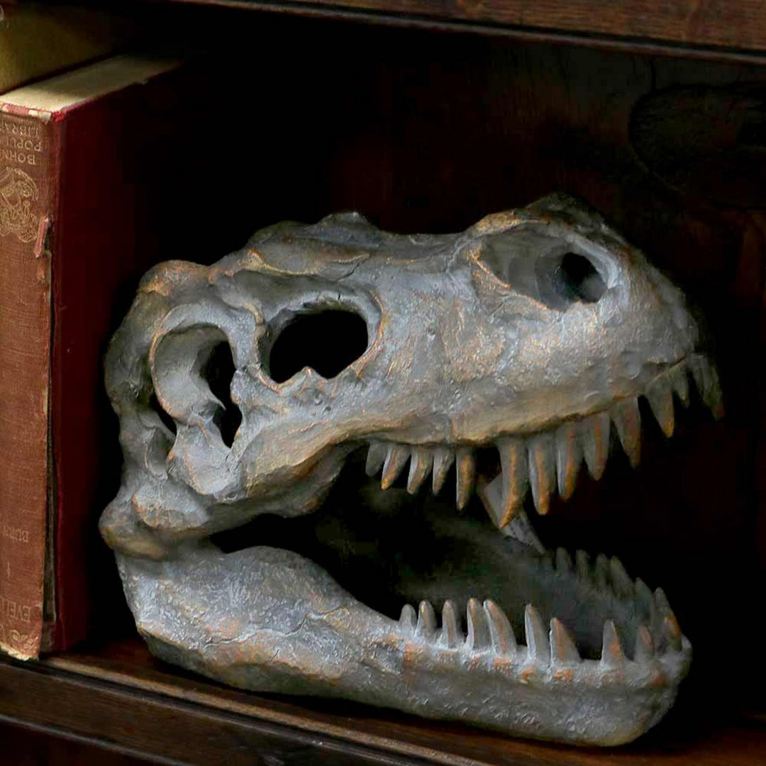 Freestanding Tyrannosaurus Rex Skull Figurine Ornament D1245D5
