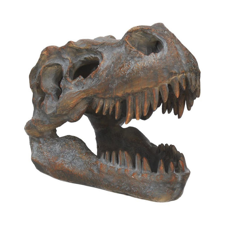 Freestanding Tyrannosaurus Rex Skull Figurine Ornament D1245D5