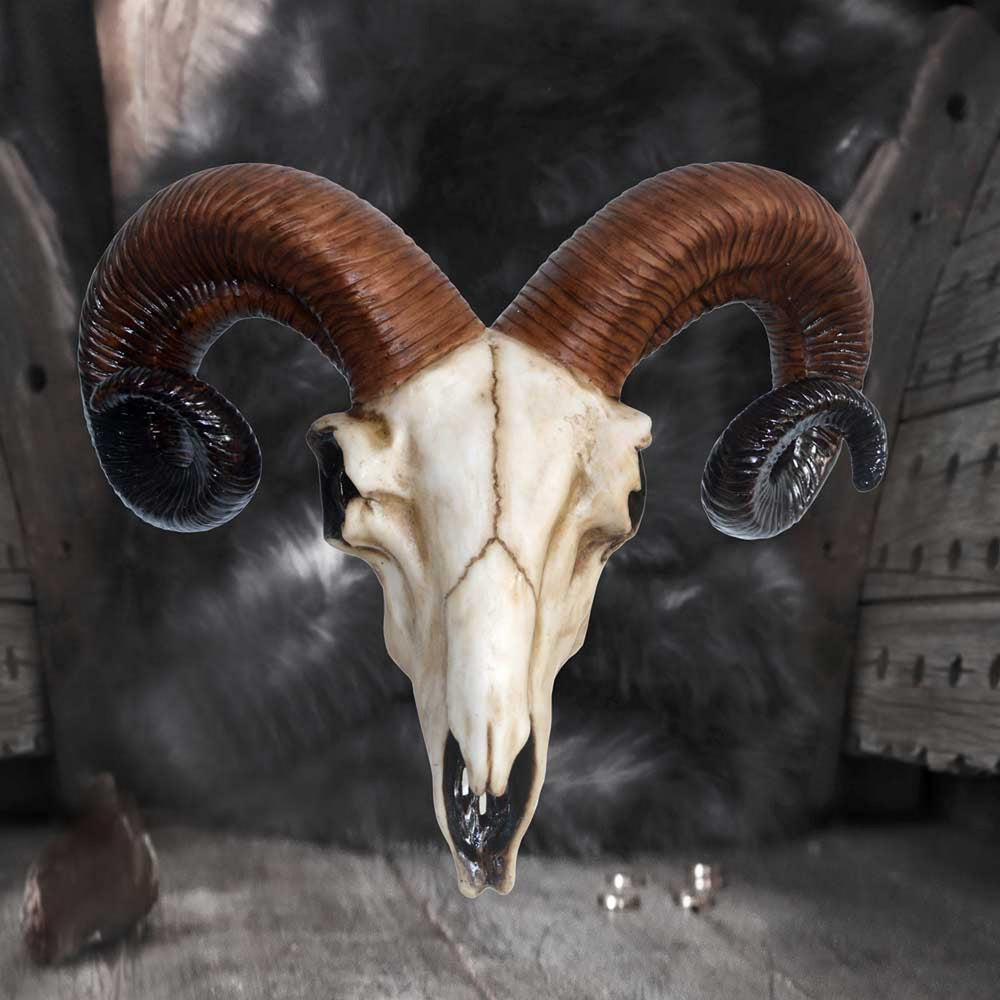 Realistic Wall Mounted Rams Skull D1250D5