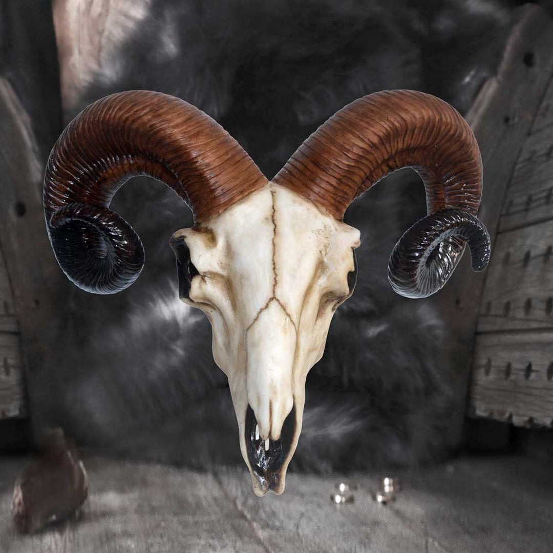 Realistic Wall Mounted Rams Skull D1250D5
