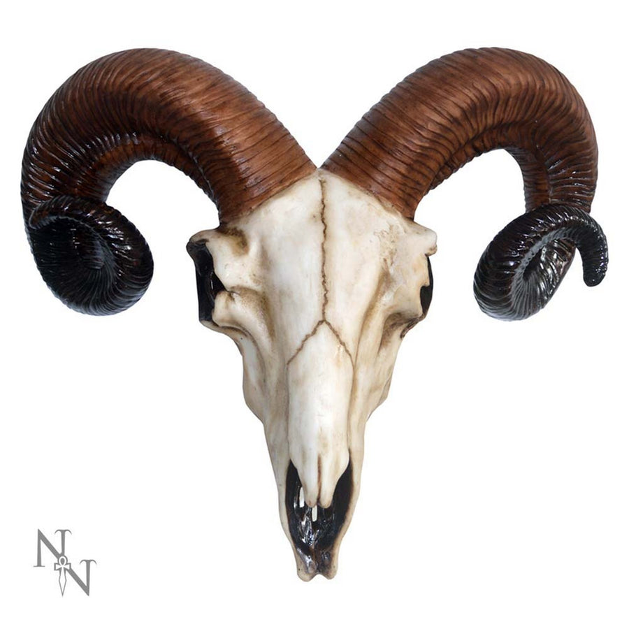 Realistic Wall Mounted Rams Skull D1250D5