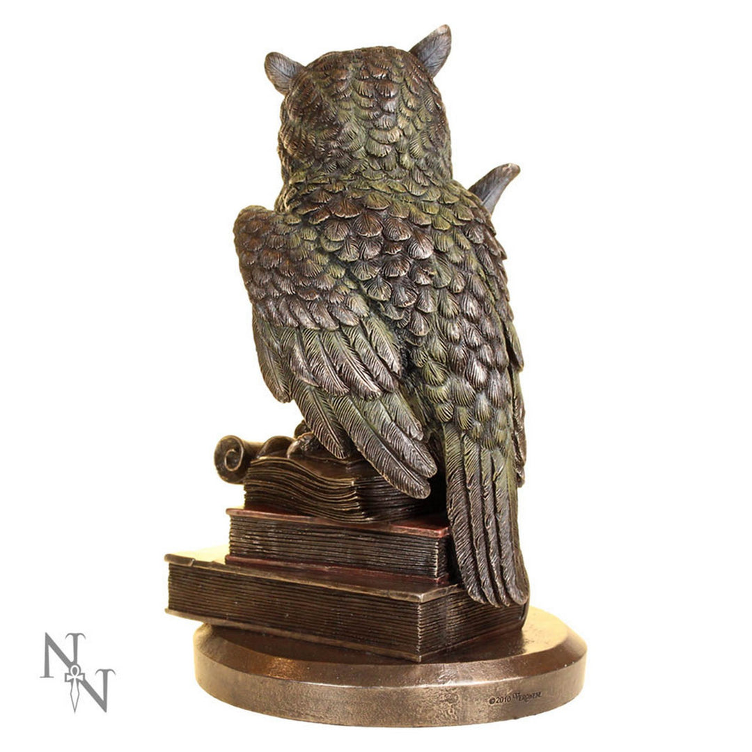 Ulula Bronze Academic Owl Figurine D1700E5
