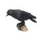 Raven's Call Figurine Gothic Bird Ornament D1701E5