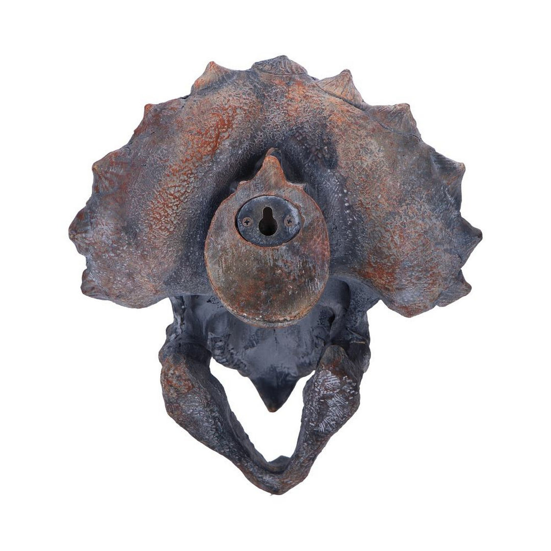 Triceratops Dinosaur Skull 23cm D2064F6