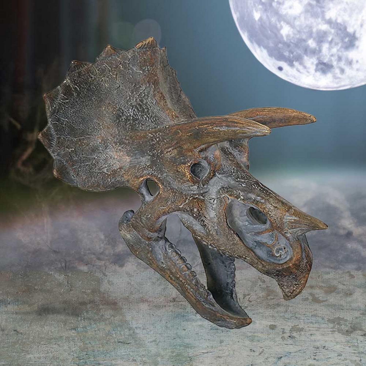 Triceratops Dinosaur Skull 23cm D2064F6