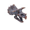 Triceratops Dinosaur Skull 23cm D2064F6