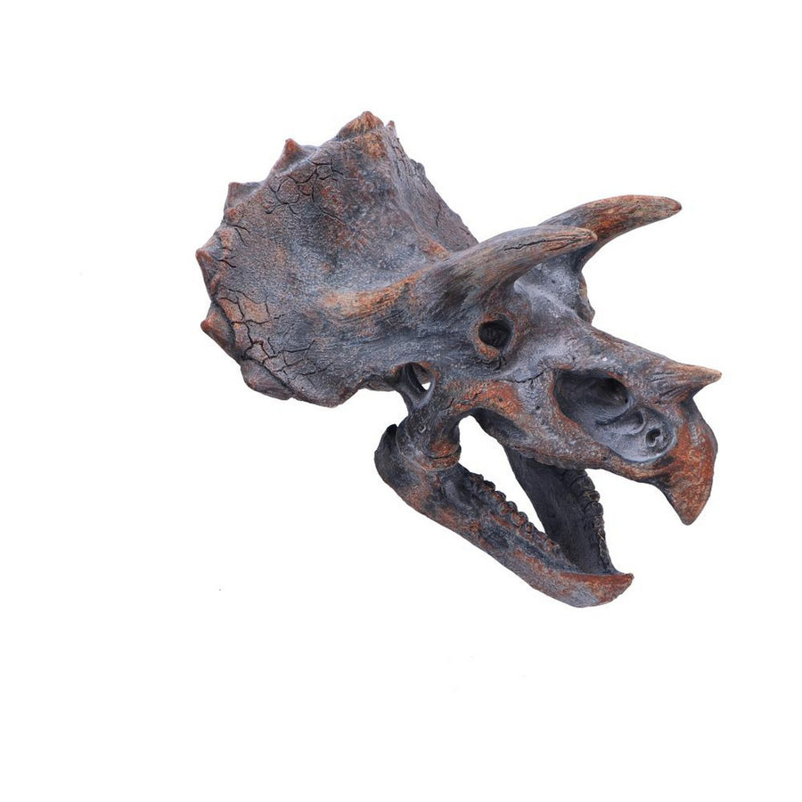 Triceratops Dinosaur Skull 23cm D2064F6
