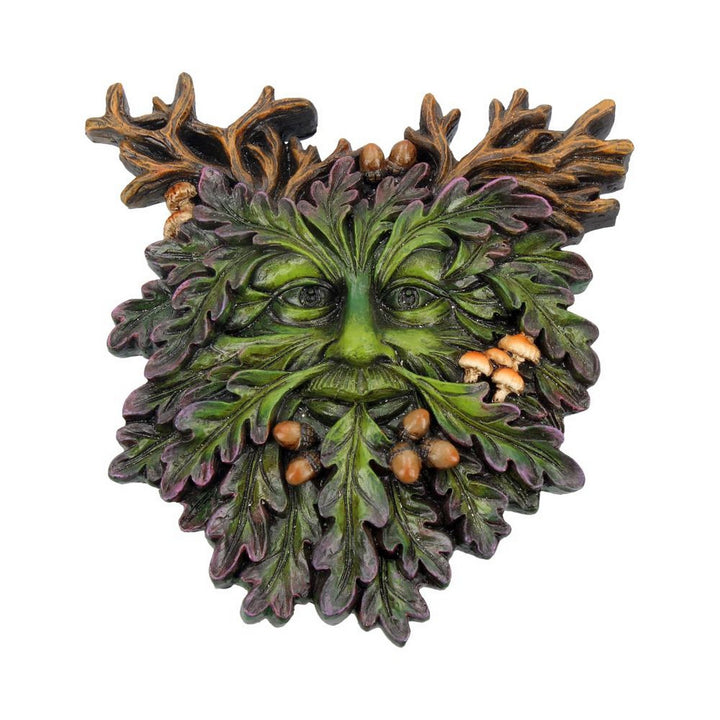 Tree Spirit Plaque Autumn's Reflection 15.5cm D3564J7