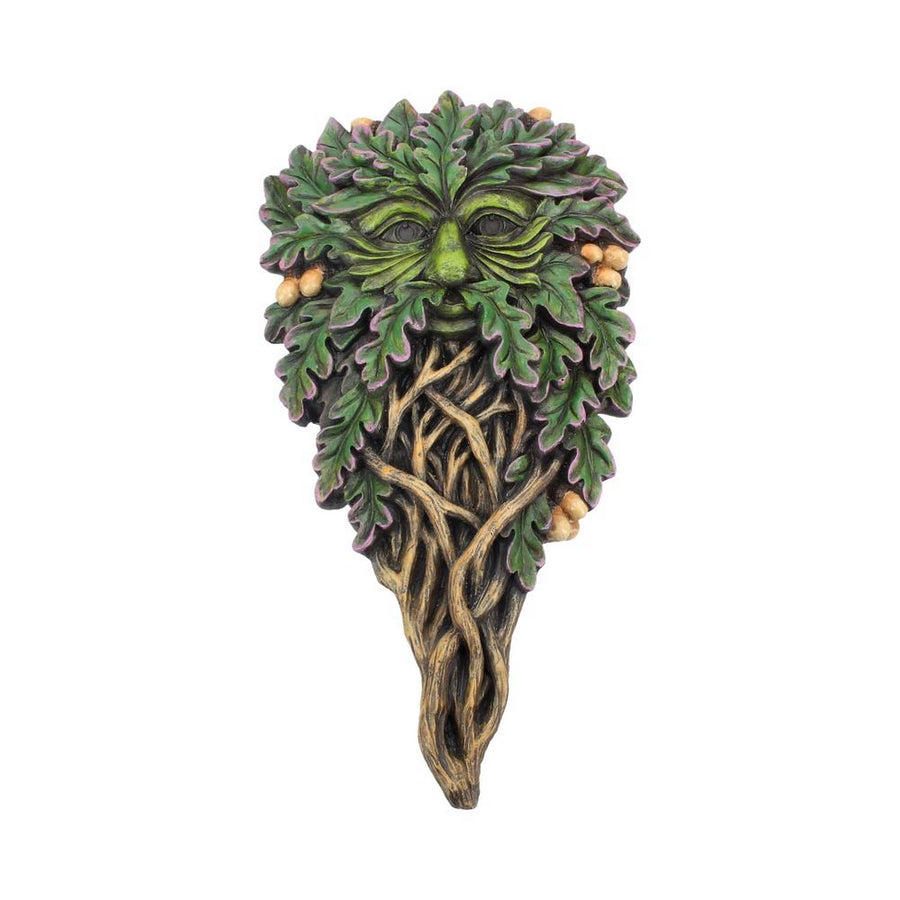Tree Spirit Wall Plaque All Seeing Oak 29cm D3566J7