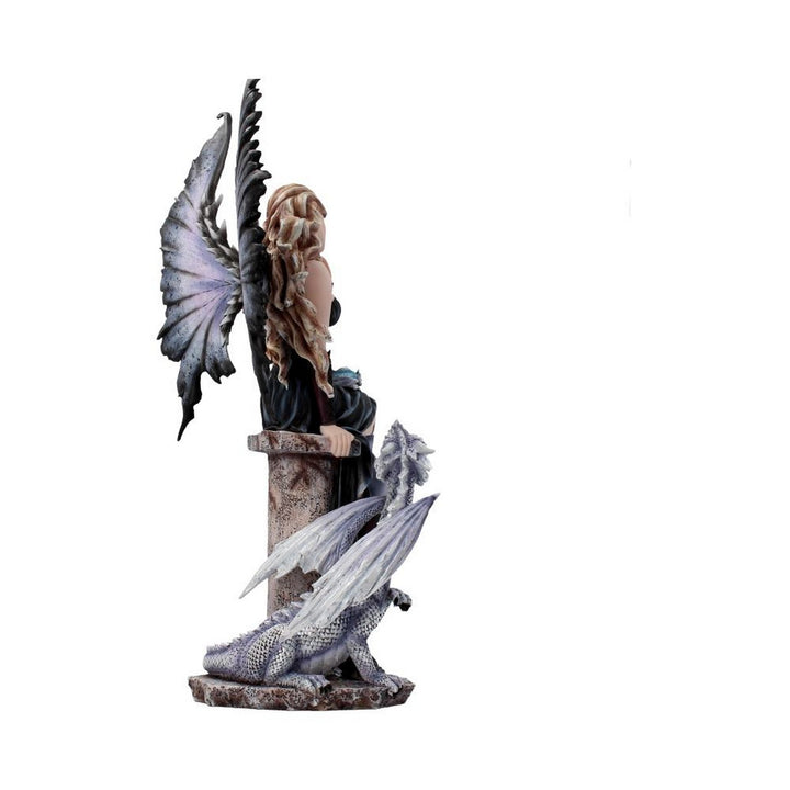 Adriana Gothic Dragon Companion Fairy D3853K8
