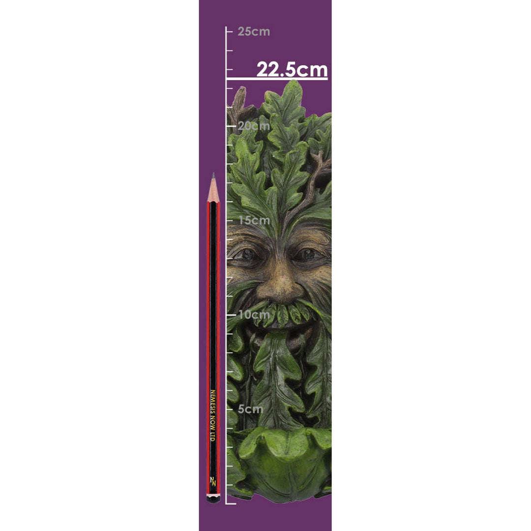 Elderwood Wall Art Tree Man Spirit Wall Hanging Plaque D4267M8