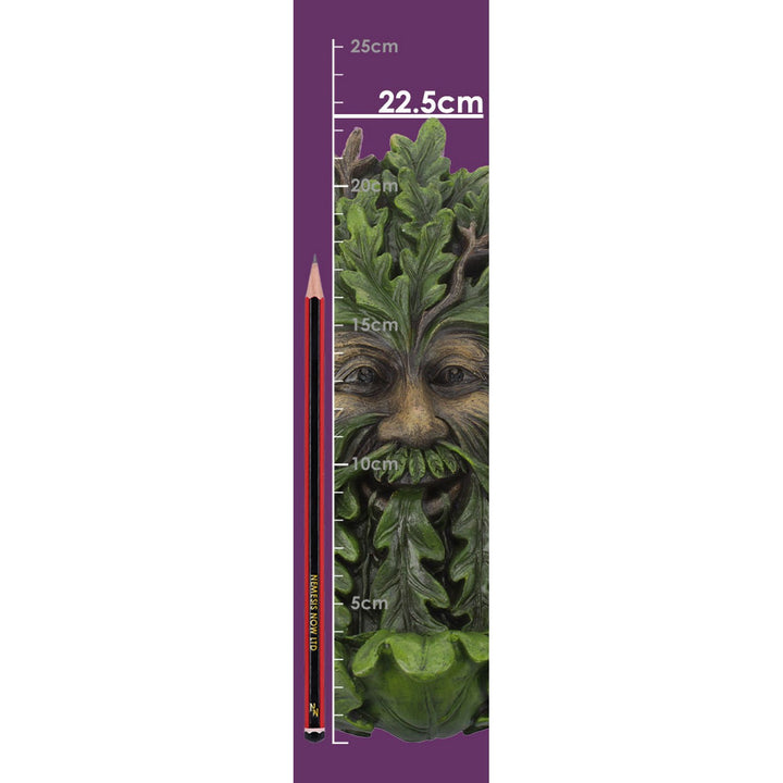 Elderwood Wall Art Tree Man Spirit Wall Hanging Plaque D4267M8