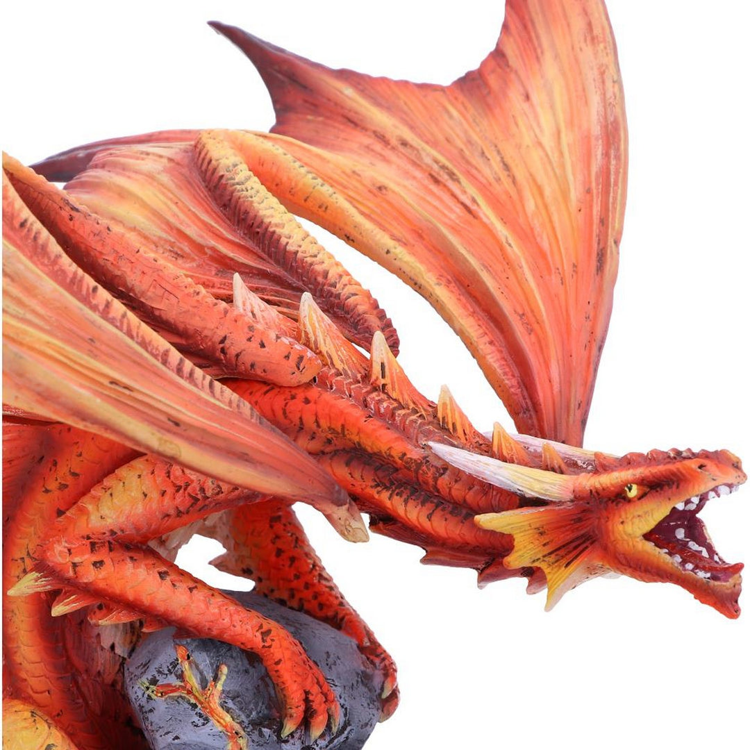 Adult Fire Dragon By Anne Stokes 24.5cm D4516N9