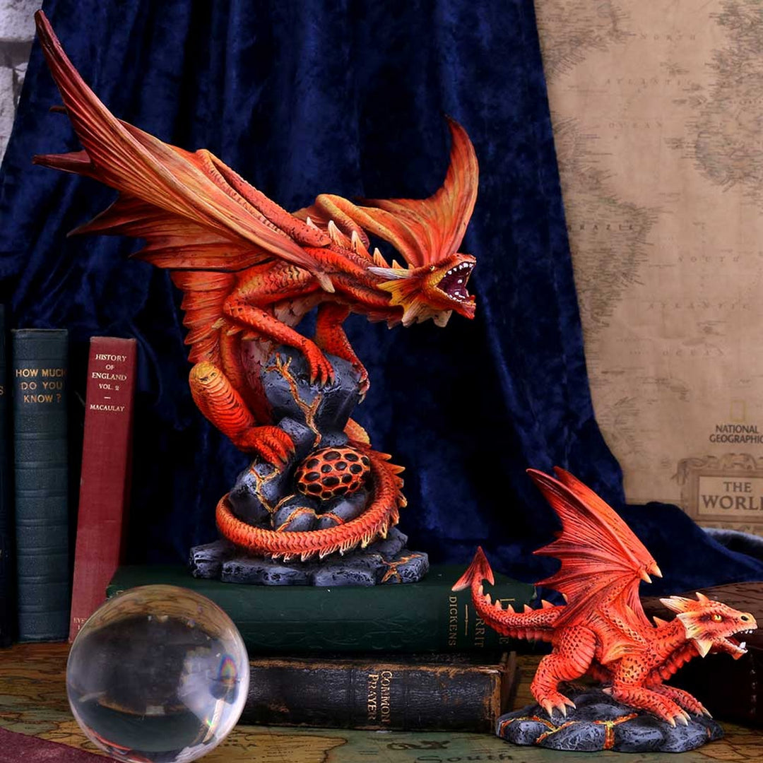 Adult Fire Dragon By Anne Stokes 24.5cm D4516N9