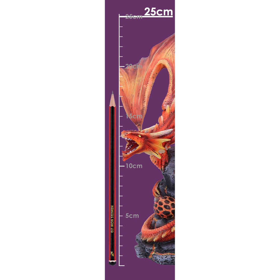 Adult Fire Dragon By Anne Stokes 24.5cm D4516N9