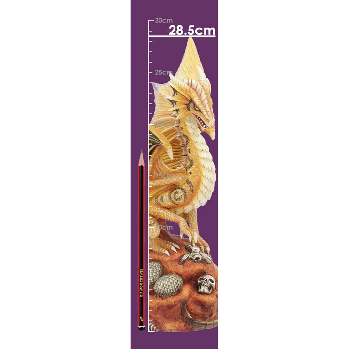 Adult Desert Dragon Figurine By Anne Stokes 24.5cm D4517N9