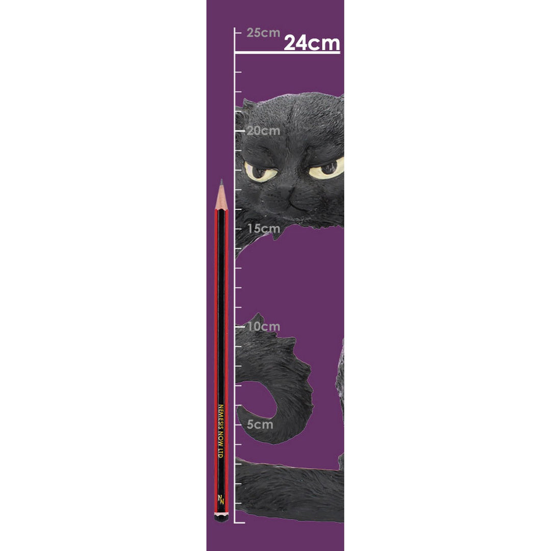 Large Black Cat Witches Familiar Figure Salem 25.5cm D4584N9