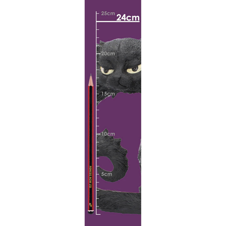 Large Black Cat Witches Familiar Figure Salem 25.5cm D4584N9