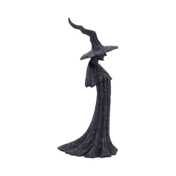 Talyse Black Glittered Forest Witch Ornament D4882P9