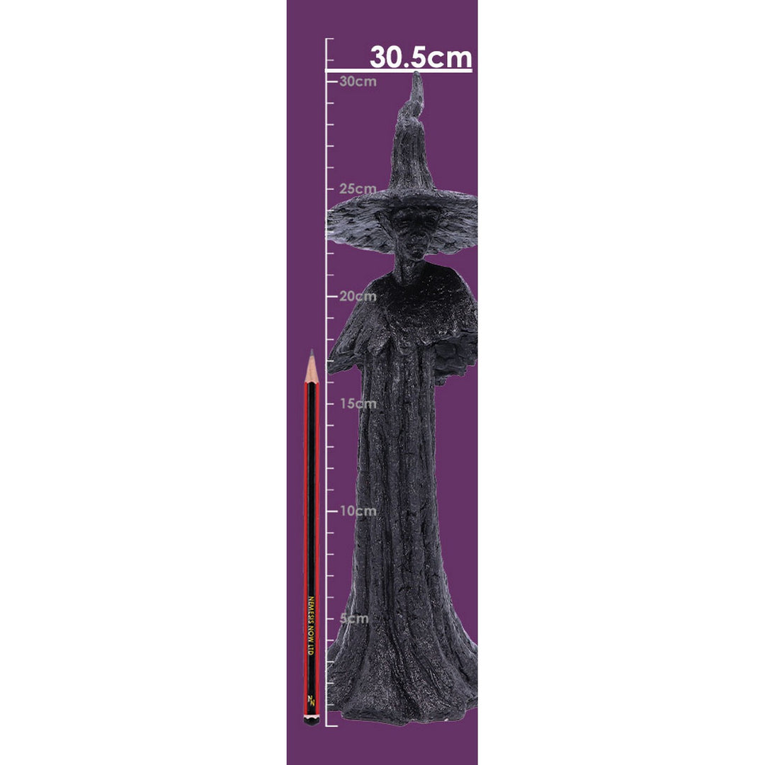 Talyse Black Glittered Forest Witch Ornament D4882P9