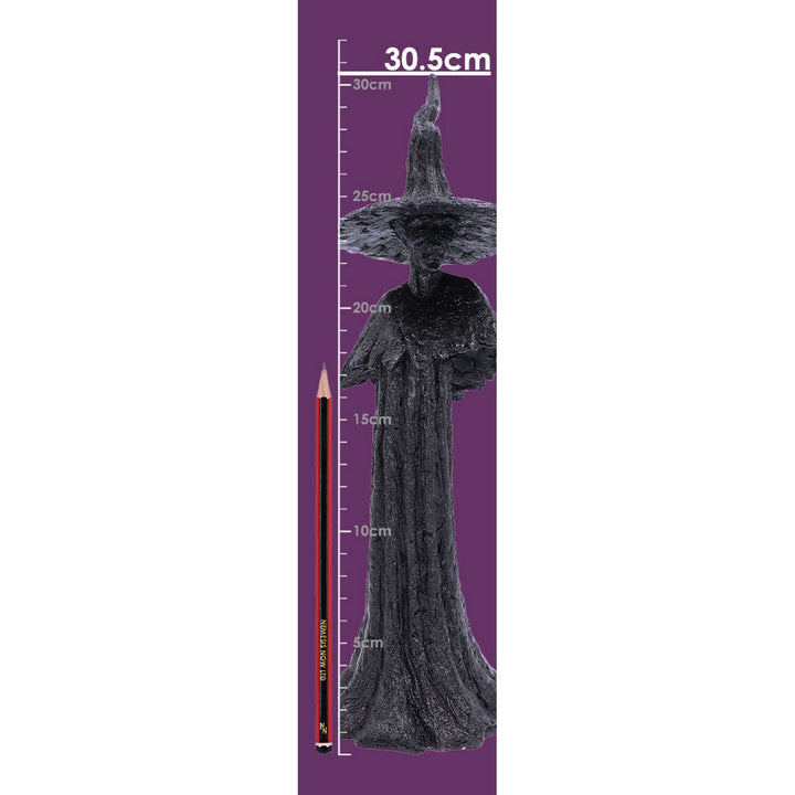 Talyse Black Glittered Forest Witch Ornament D4882P9