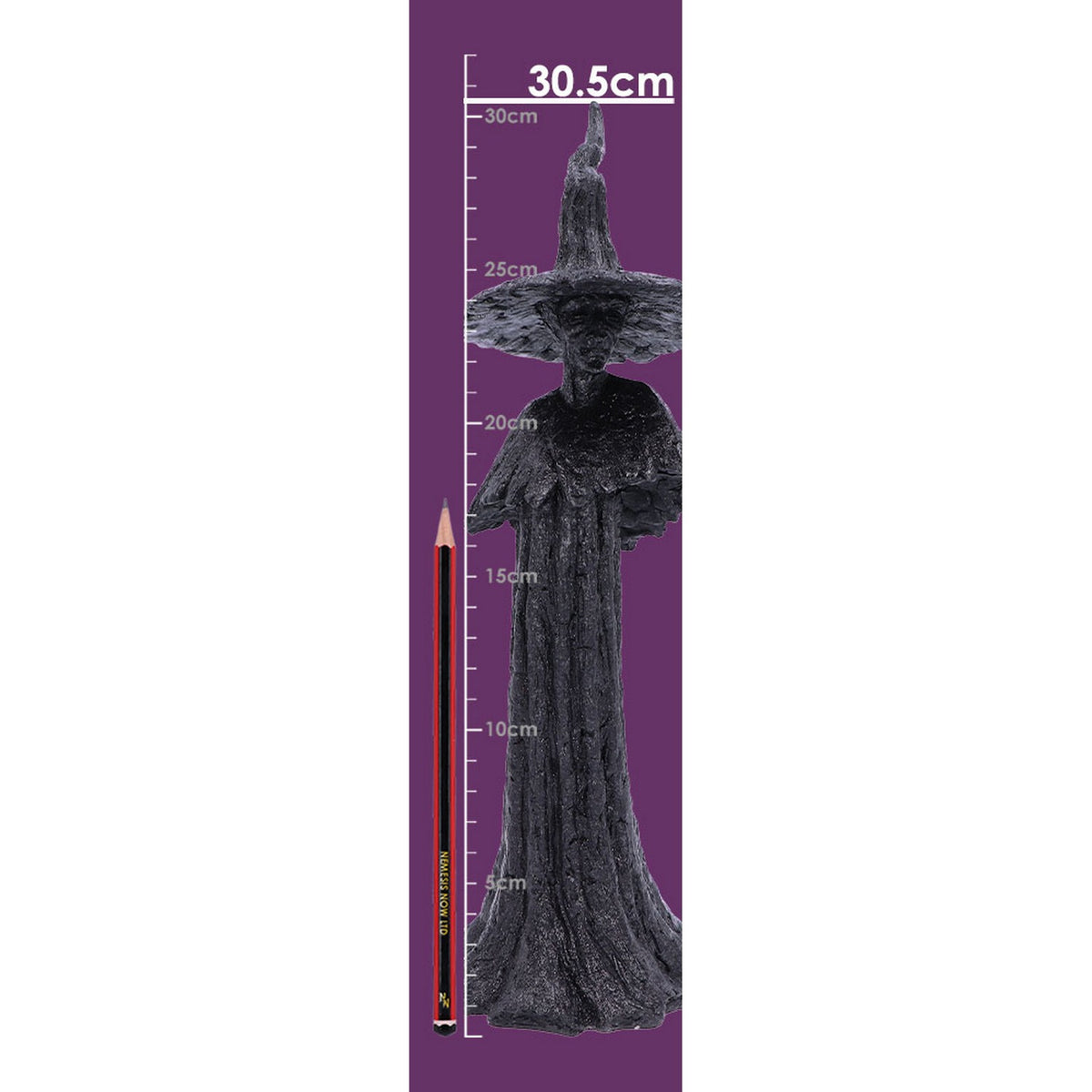 Talyse Black Glittered Forest Witch Ornament D4882P9