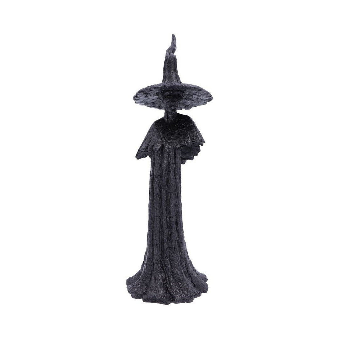 Talyse Black Glittered Forest Witch Ornament D4882P9