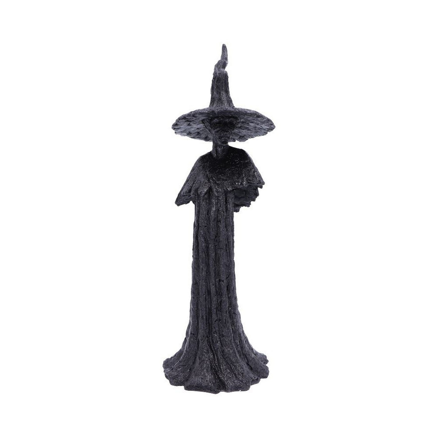 Talyse Black Glittered Forest Witch Ornament D4882P9