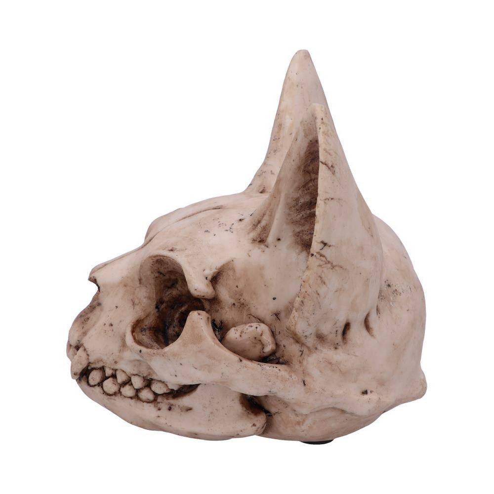 Bastet's Secret Cat Skull Figurine Ornament D4916R0