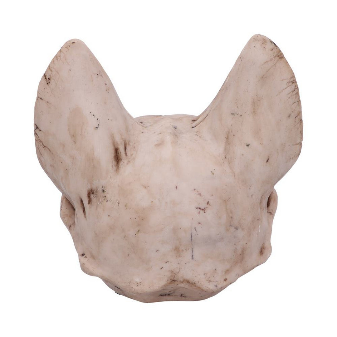 Bastet's Secret Cat Skull Figurine Ornament D4916R0
