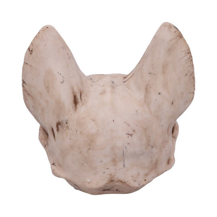 Bastet's Secret Cat Skull Figurine Ornament D4916R0