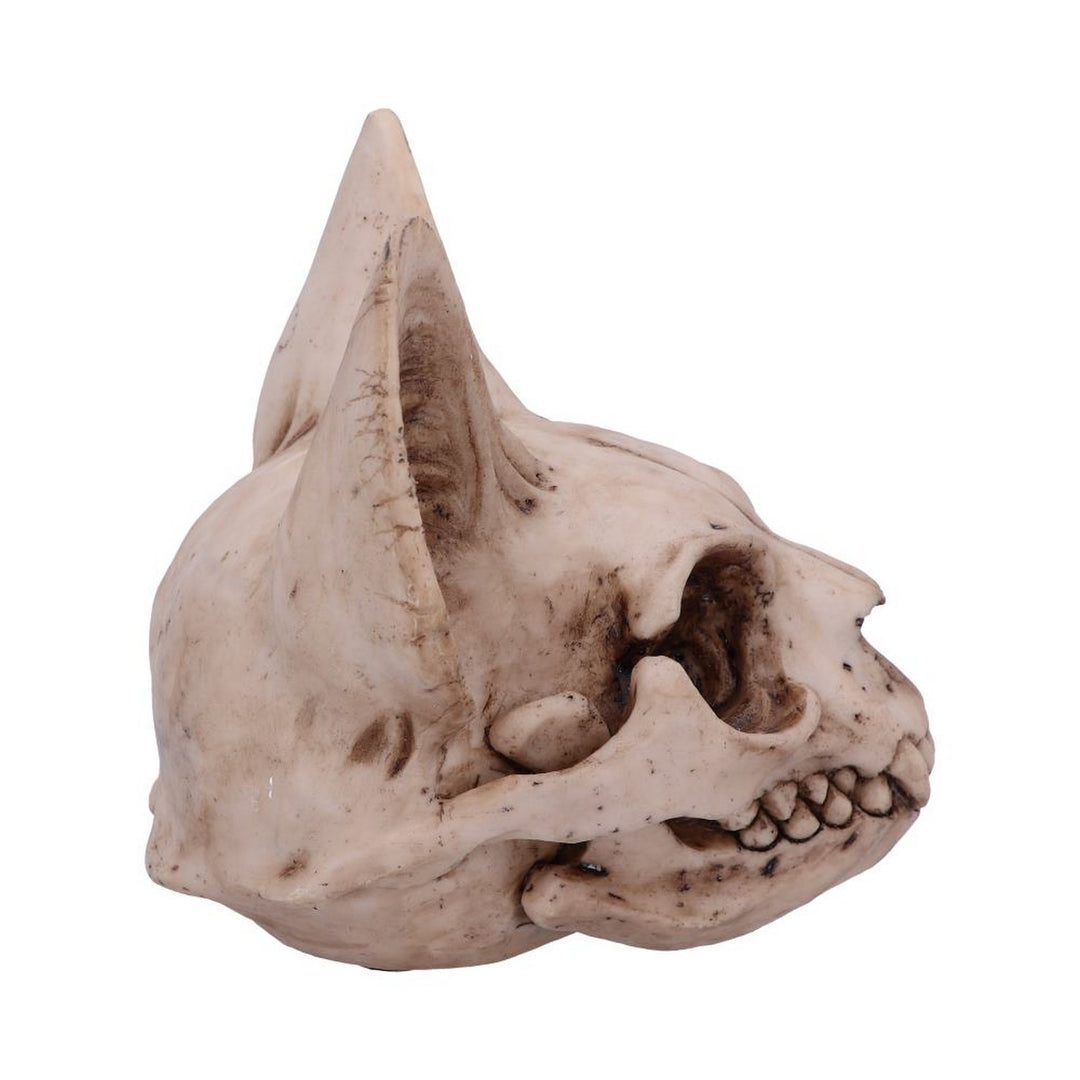 Bastet's Secret Cat Skull Figurine Ornament D4916R0