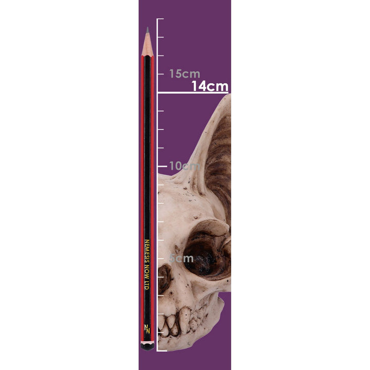 Bastet's Secret Cat Skull Figurine Ornament D4916R0
