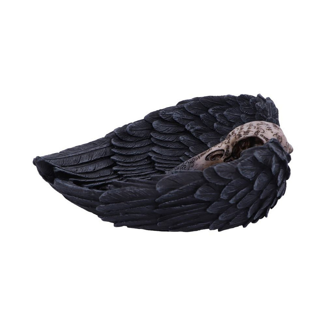 Edgar Allen Poe's Nevermore Raven Skull Trinket Holder Jewellery Dish D4917R0