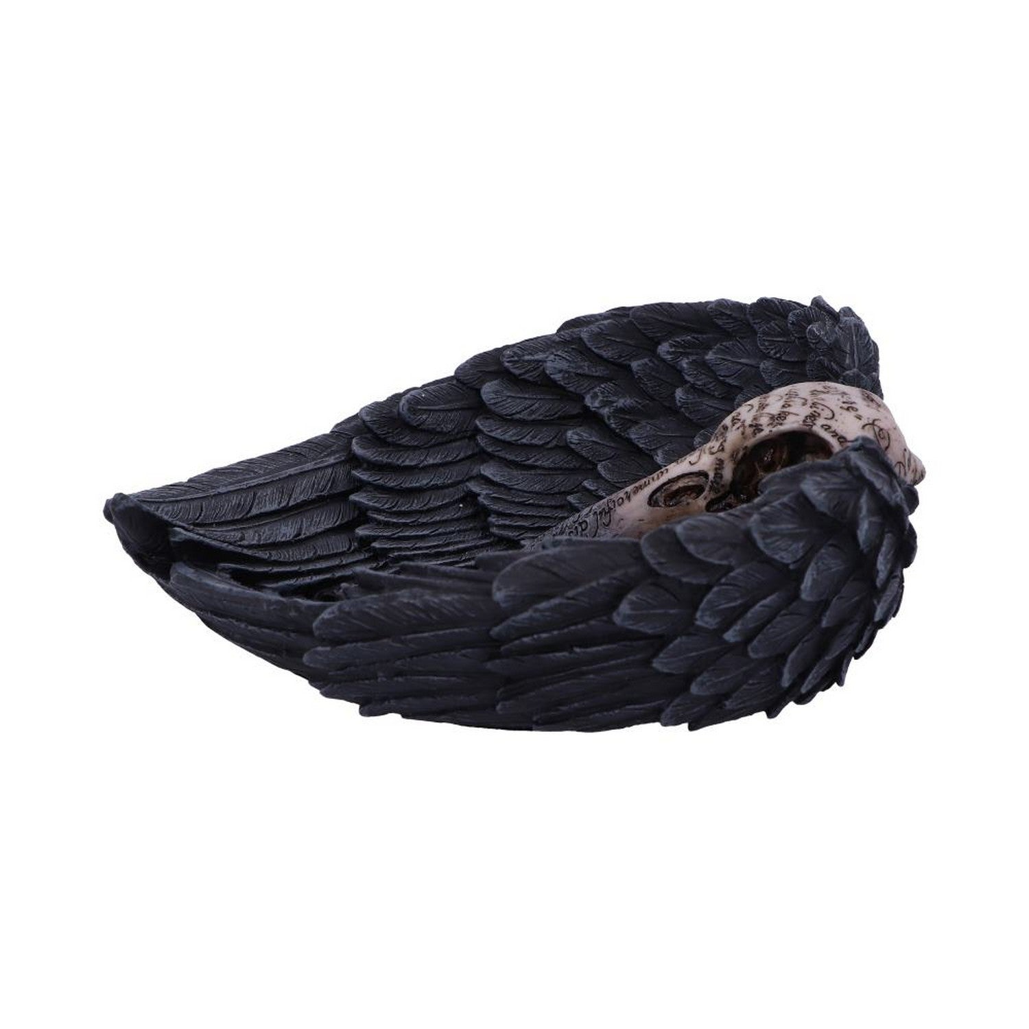 Edgar Allen Poe's Nevermore Raven Skull Trinket Holder Jewellery Dish D4917R0