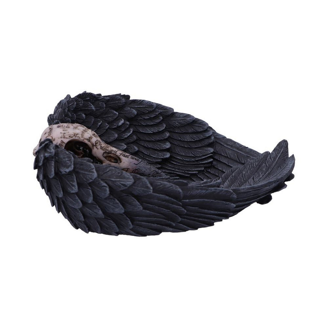 Edgar Allen Poe's Nevermore Raven Skull Trinket Holder Jewellery Dish D4917R0