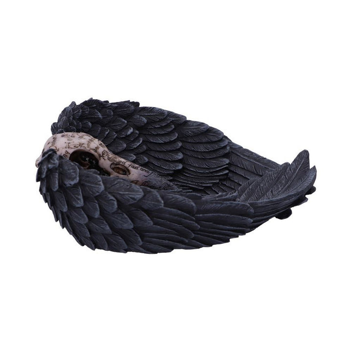 Edgar Allen Poe's Nevermore Raven Skull Trinket Holder Jewellery Dish D4917R0