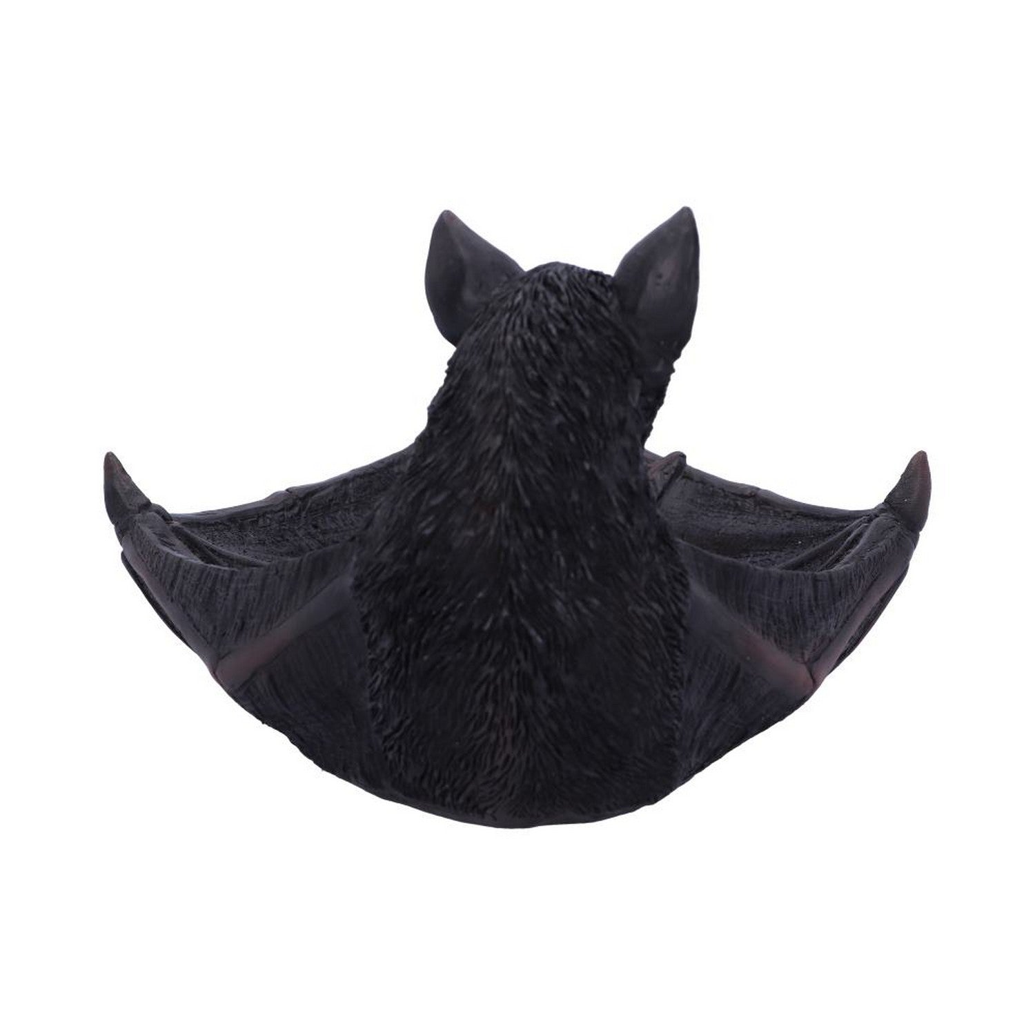 Winged Watcher Bat Trinket Holder Jewellery Dish D4931R0