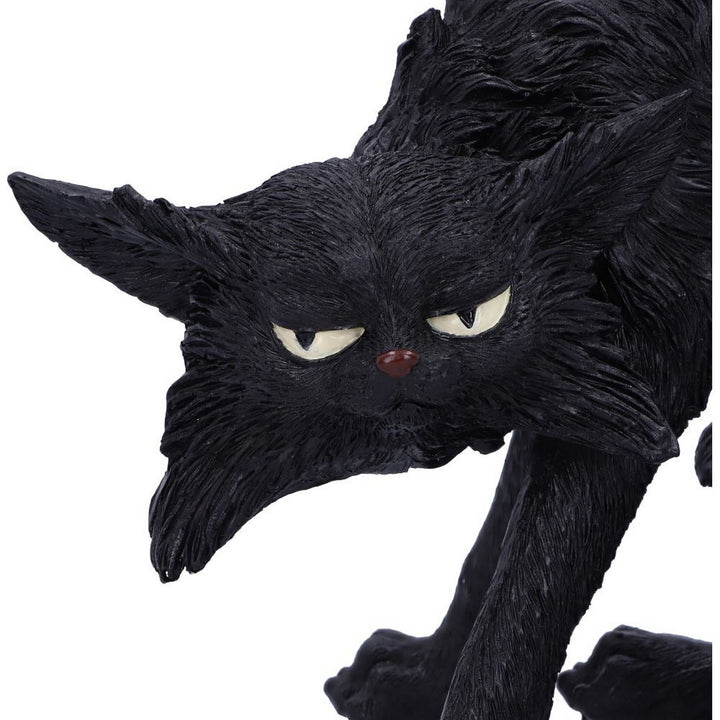 Spite (Small) 16cm D5527T1